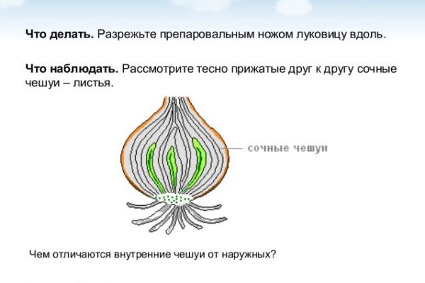 Мега магазин моментальных