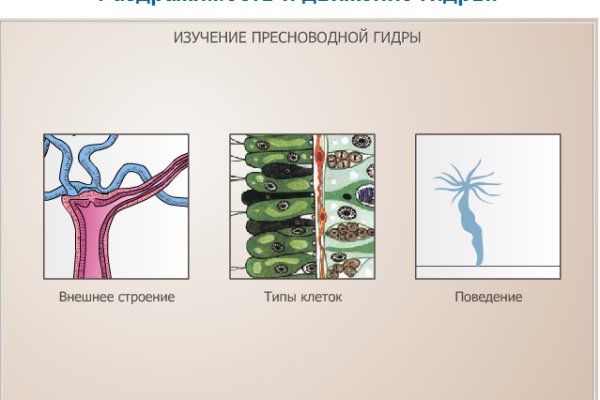 Вход в мегу